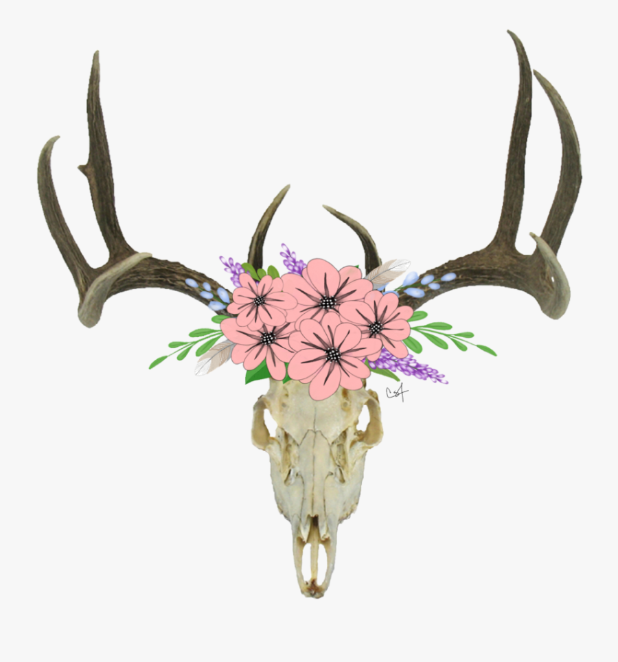 Antlers And Flowers Png Free - Deer Skull Transparent Background, Transparent Clipart