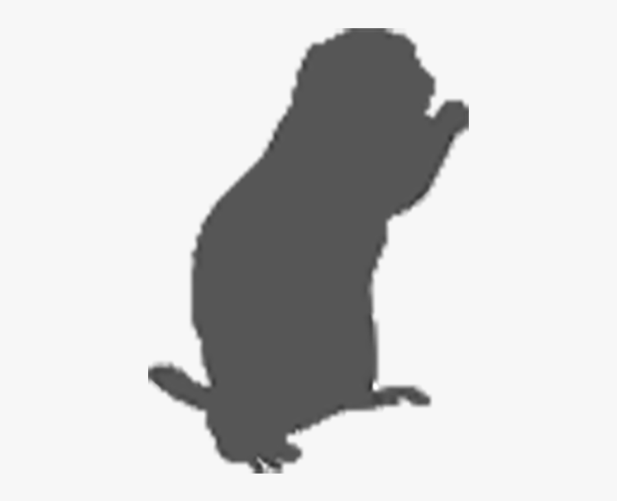 Nutria, Transparent Clipart