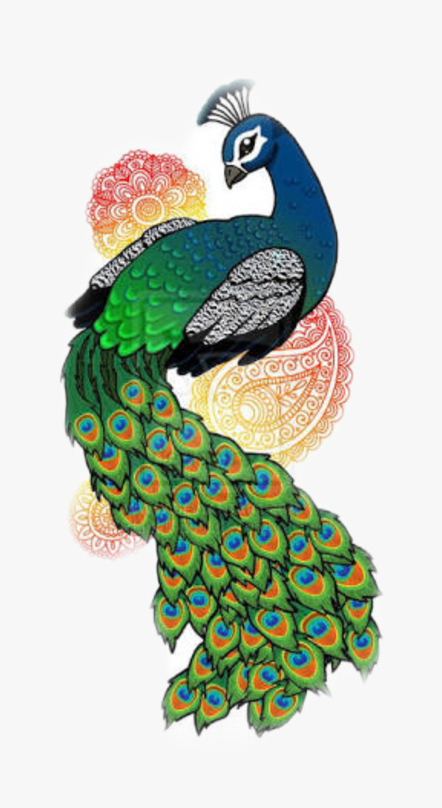 #pavo - Easy Drawings Of Peacock, Transparent Clipart