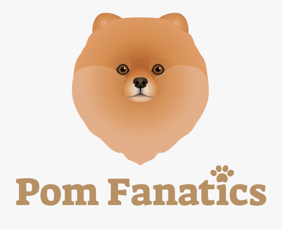 Pomeranian, Transparent Clipart