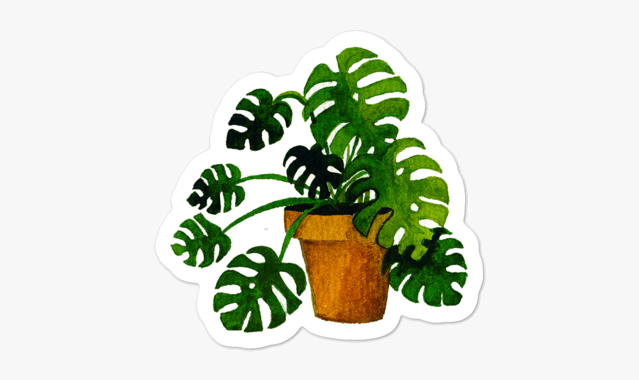 Warmsquirrel Monstera Individual Picture Mockup Default - Illustration, Transparent Clipart