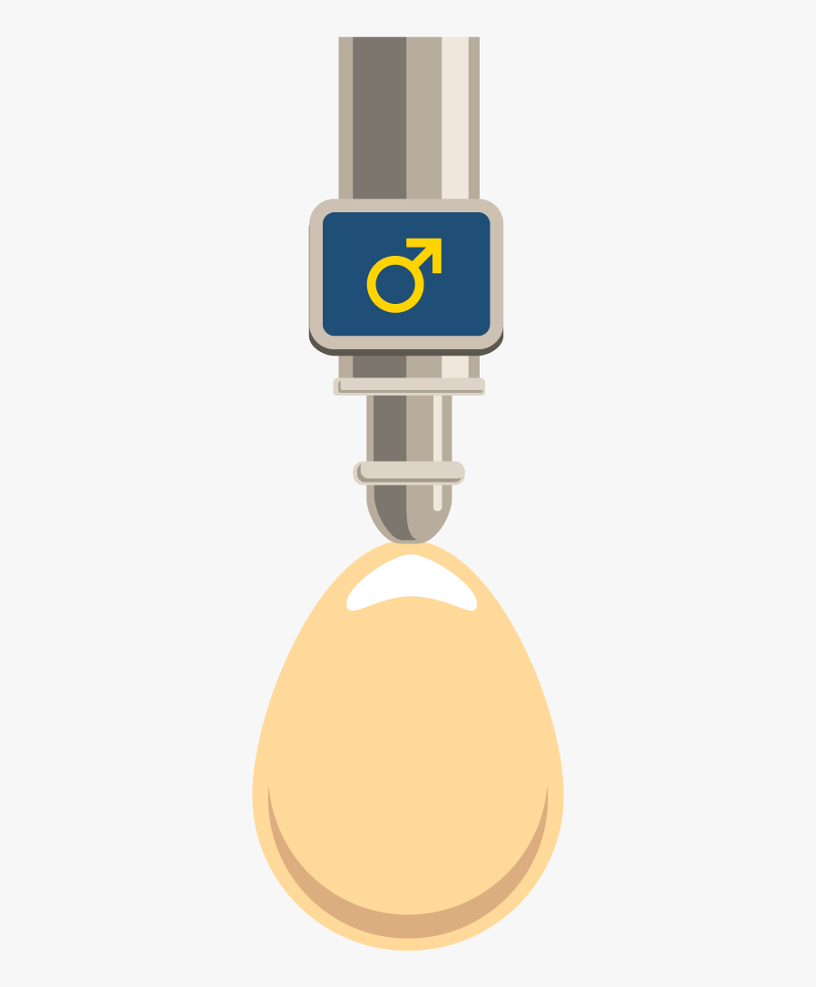 Automated Egg Sexing - Sign, Transparent Clipart