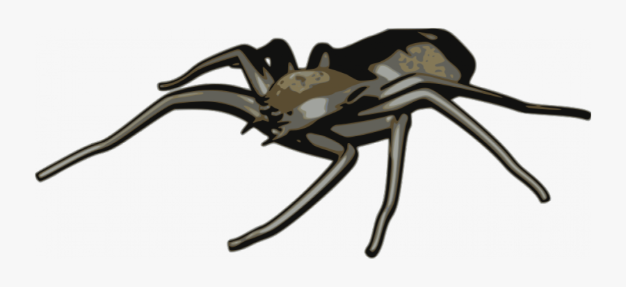 Spider Vector Clip Art - Spider Arachne Clipart, Transparent Clipart