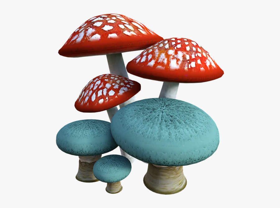 Fungus Transparent, Transparent Clipart