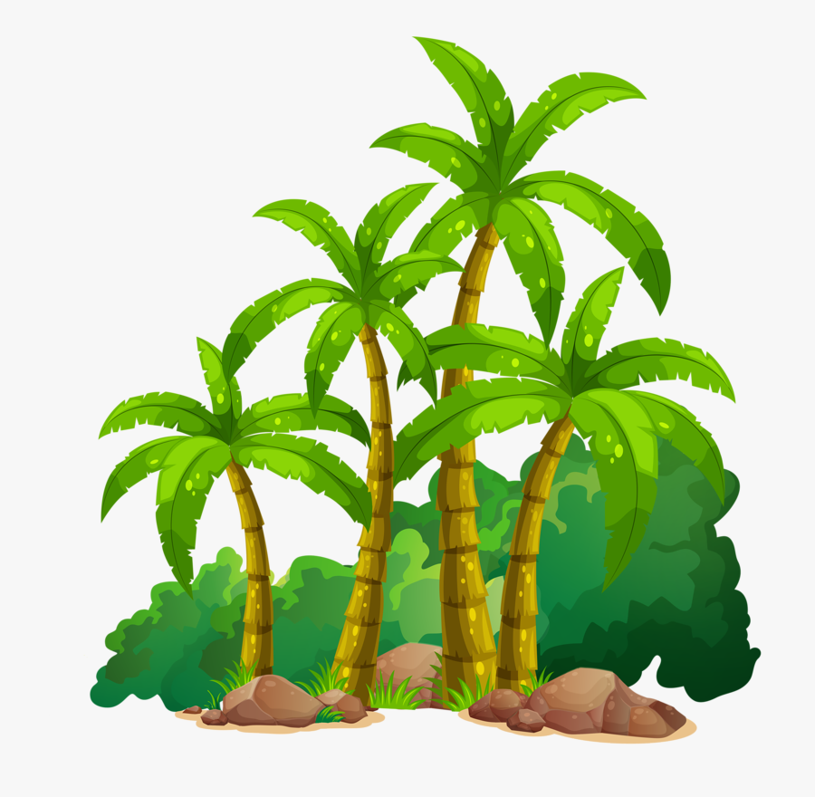 vector transparent coconut tree free transparent clipart clipartkey vector transparent coconut tree free