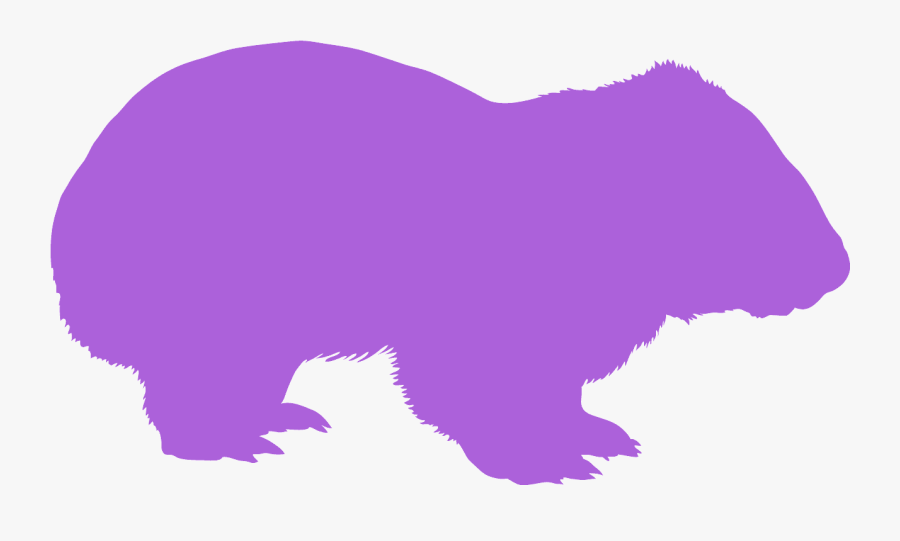 Silhouette Of A Wombat, Transparent Clipart