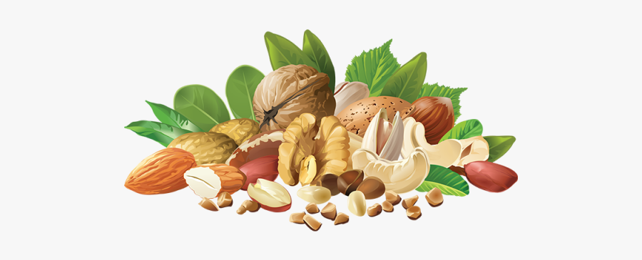 Realistic Different Nuts, Realistic Nuts, Different - Nuts Illustration Png, Transparent Clipart