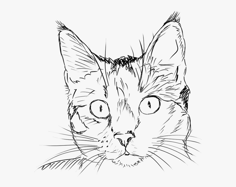 Realistic Cat Face Outline, Transparent Clipart
