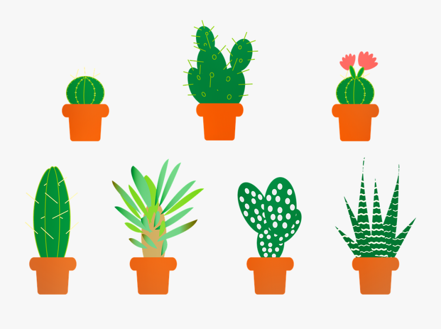 Cactus, Aloe Vera, Saguro, Aloe, Vera, Botany, Agave - Gambar Pohon Kaktus Kartun, Transparent Clipart