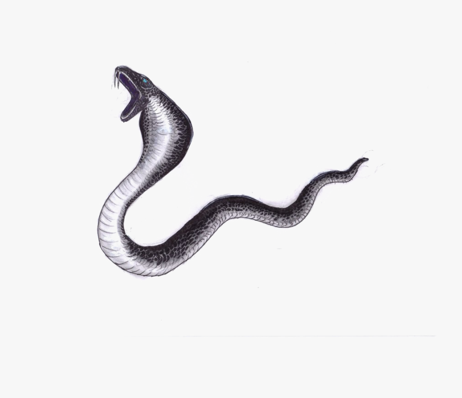 Black Mamba Png File - Black Mamba Snake Png, Transparent Clipart
