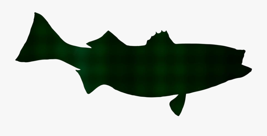 Transparent Striped Bass Png Image - Cartilaginous Fish, Transparent Clipart