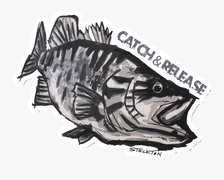 Matthew Stockton Smallmouth Bass Sticker - Bass, Transparent Clipart