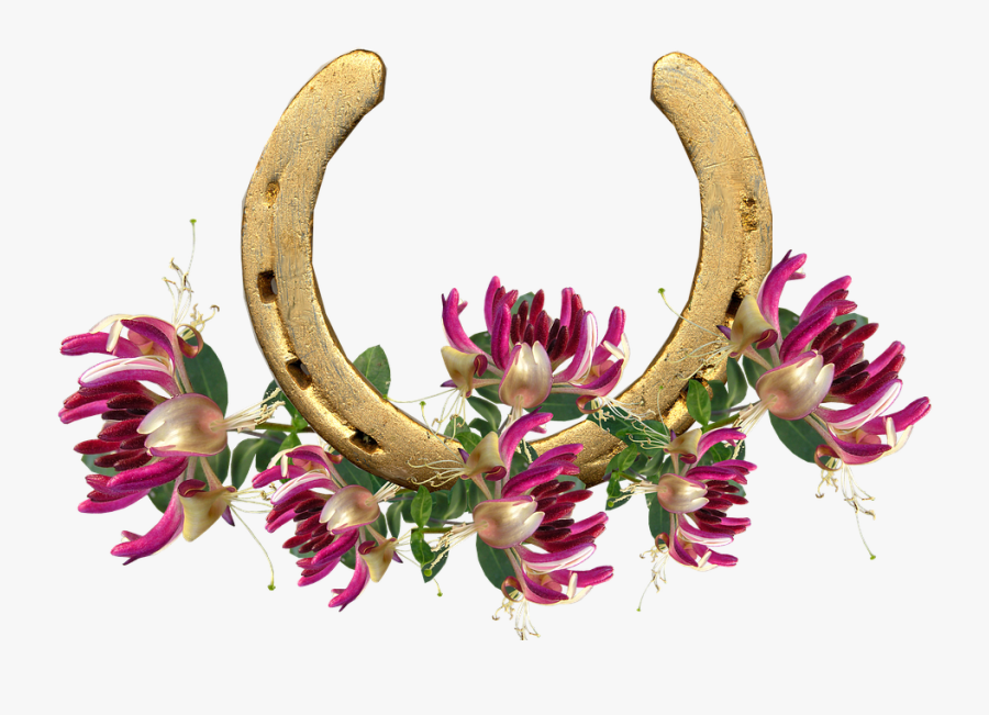 Transparent Honeysuckle Png - Horseshoe, Transparent Clipart