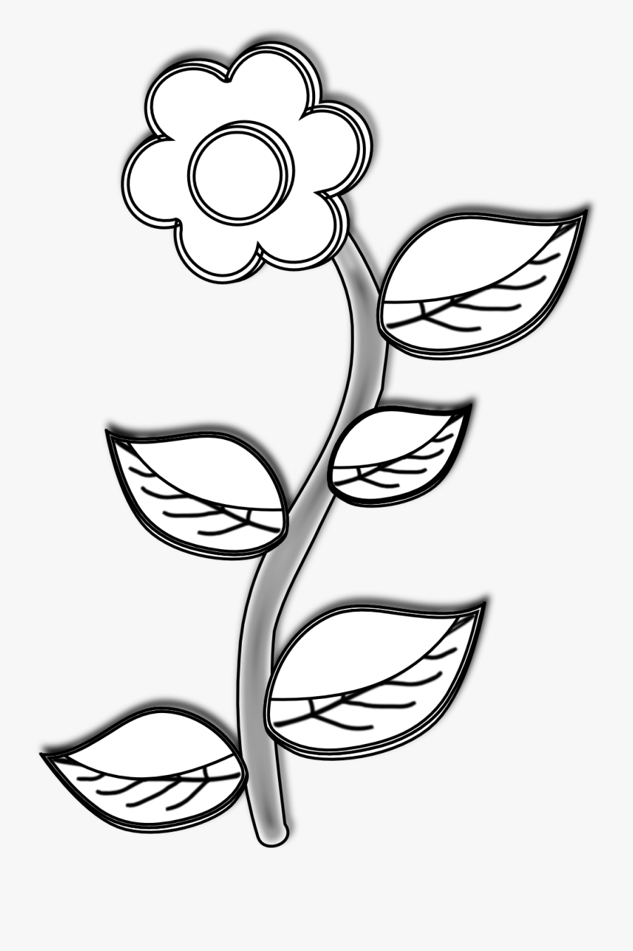 Transparent Parts Of A Plant Clipart - Line Art, Transparent Clipart