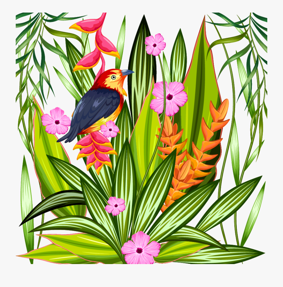 Parrot Tropics Tropical Illustration Material Transprent - Декоративные Цветы Картины, Transparent Clipart