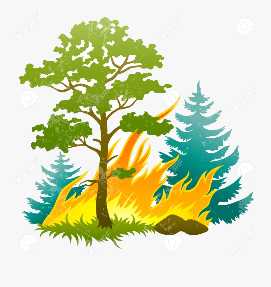 Safari Trees Jungle Encode Clipart To Base Free And - Wildfire Clipart, Transparent Clipart
