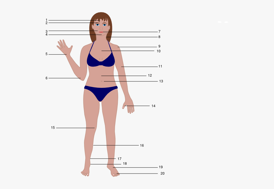 Female Human Body Cartoon, Transparent Clipart