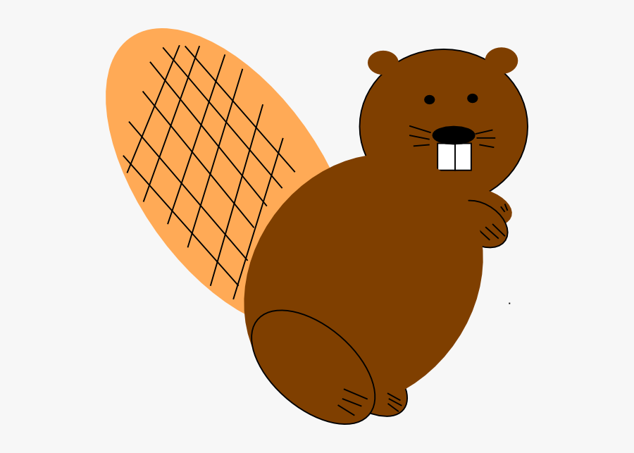 Beaver Clip Art , Free Transparent Clipart - Clipartkey