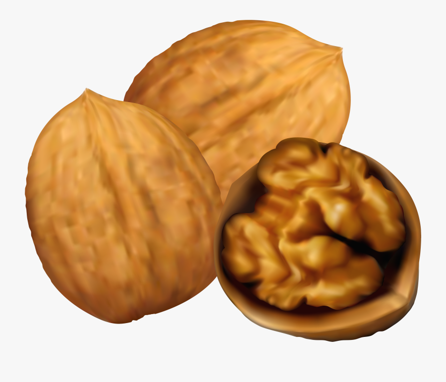 Transparent Peanut Png - Clip Art Of Walnut, Transparent Clipart