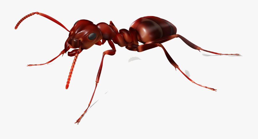 Cave Clipart Ant - Ant Png, Transparent Clipart