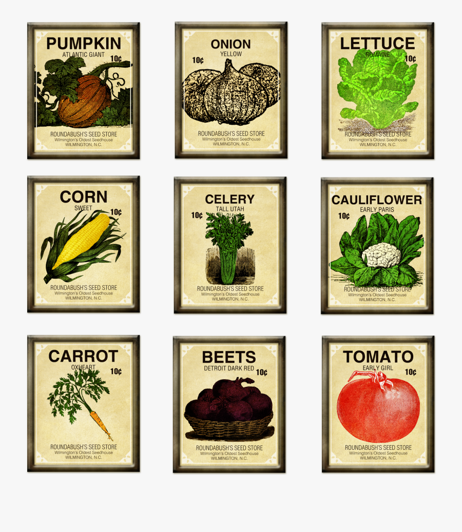 Vintage Seed Packet Clipart - Vegetable Seeds Clipart Free, Transparent Clipart