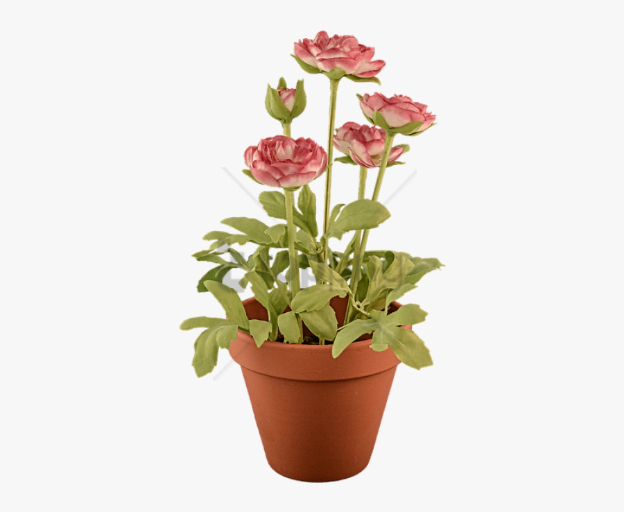 Flower Pot Clipart Transparent Background - Flower Pot No Background, Transparent Clipart