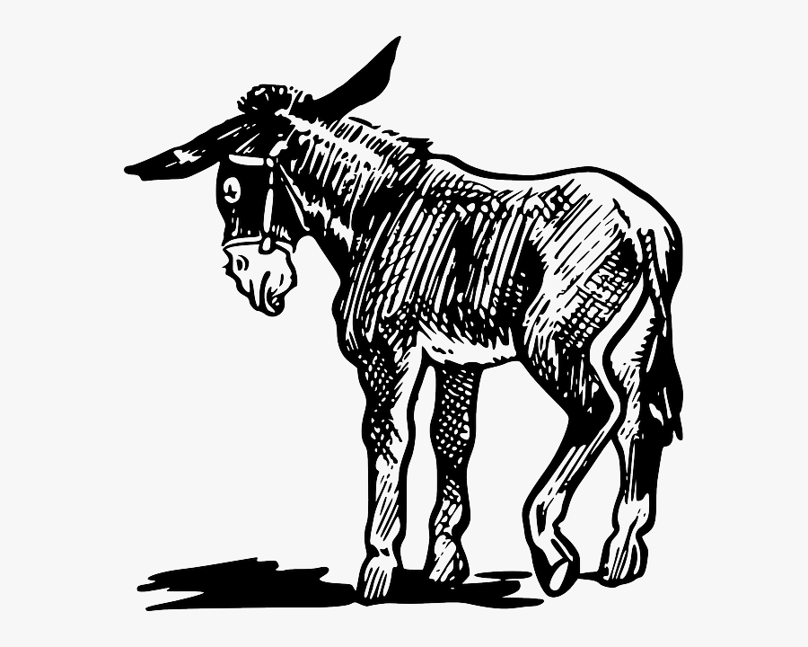 Donkey Drawing Images At - Donkey Clip Art Black And White , Free ...