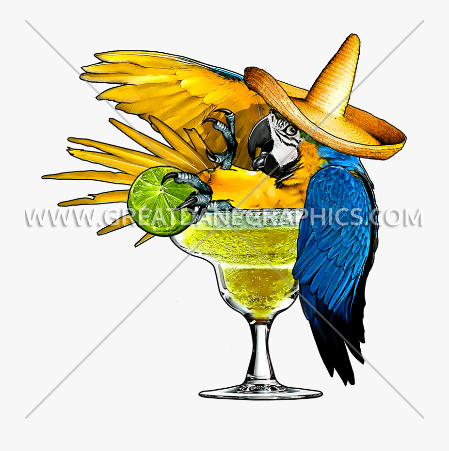 Margarita Production Ready Artwork For T Shirt - Parrot In Margarita Glass, Transparent Clipart