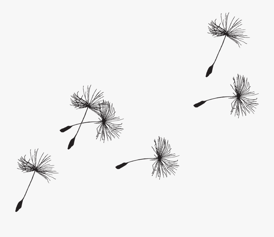 Clip Art Dandelion Blowing In The Wind Clip Art - Transparent Background Dandelion Seed Png, Transparent Clipart