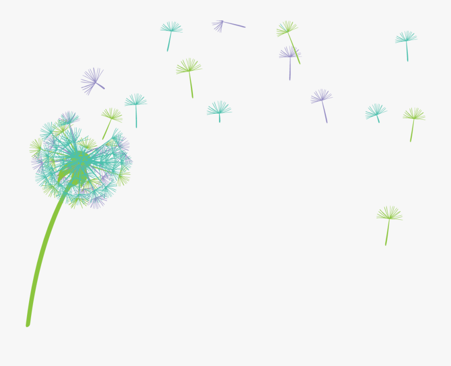 Momathons Co Op Unina - Transparent Background Dandelion Clip Art, Transparent Clipart