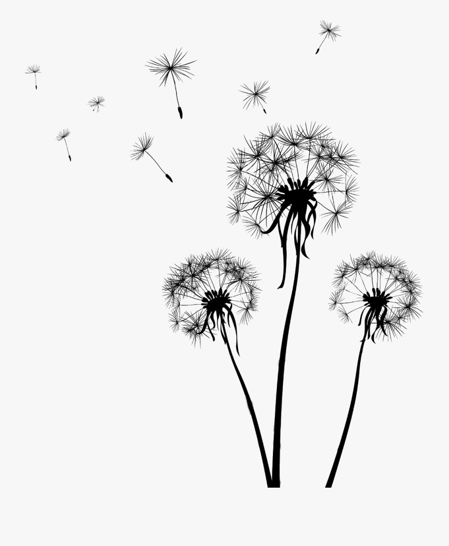 Clip Art Dandelion Graphic - Dandelion Clip Art, Transparent Clipart