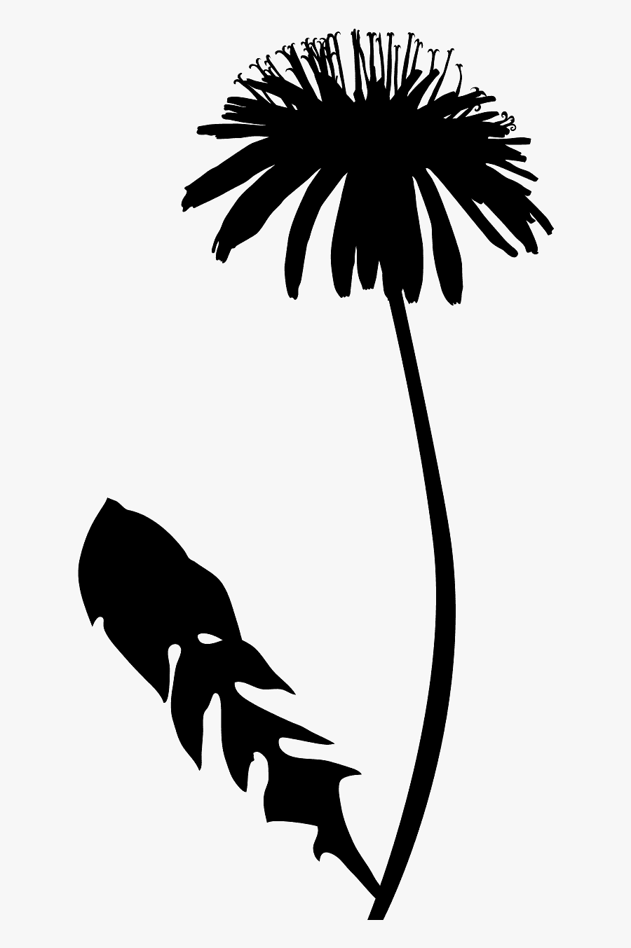 Dandelion Clipart Vector Silhouette - Одуванчик Силуэт, Transparent Clipart