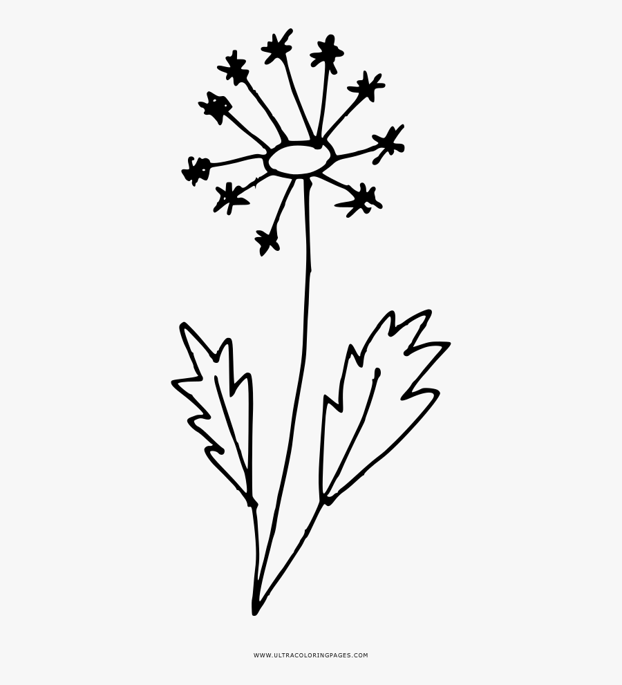 Nice Dandelion Coloring Pages Page Ultra - Line Art, Transparent Clipart