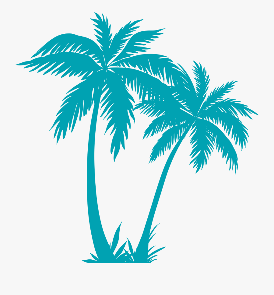 Transparent Palm Tree Plan Png - Palm Tree Vector Png , Free
