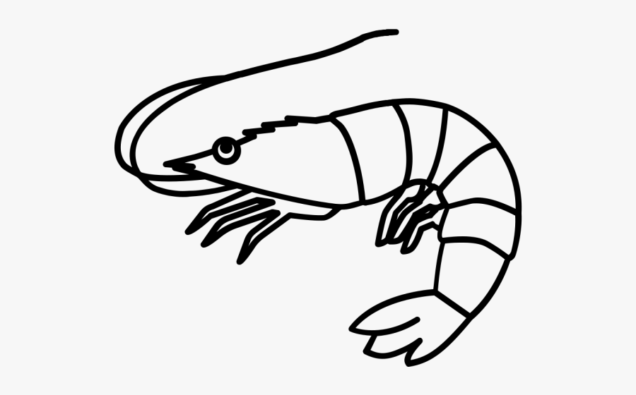 Crustacean Clipart Shellfish - Shrimp Clipart Black And White, Transparent Clipart