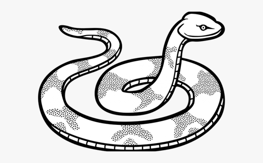 Snake Clip Art Black And White - Clip Art Black And White Snake, Transparent Clipart