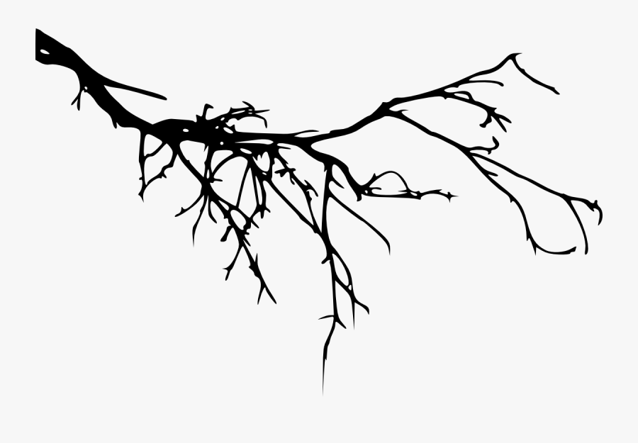 Branch Tree Portable Network Graphics Silhouette Image - Branches Silhouette Png, Transparent Clipart