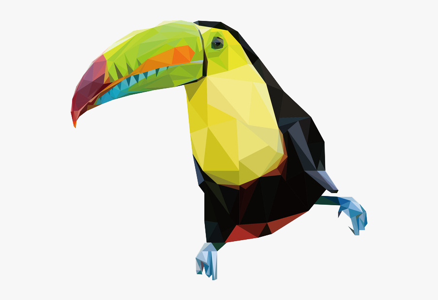 Parrot - Toucan, Transparent Clipart