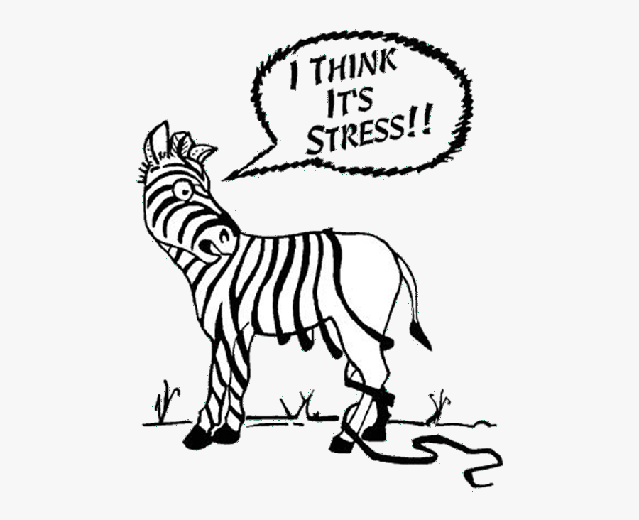 This Section Is Dedicated To Exploring Coping Strategies - Think Its Stress, Transparent Clipart