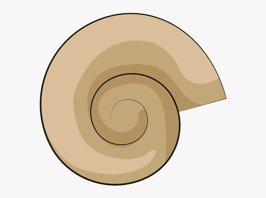 Spiral, Transparent Clipart