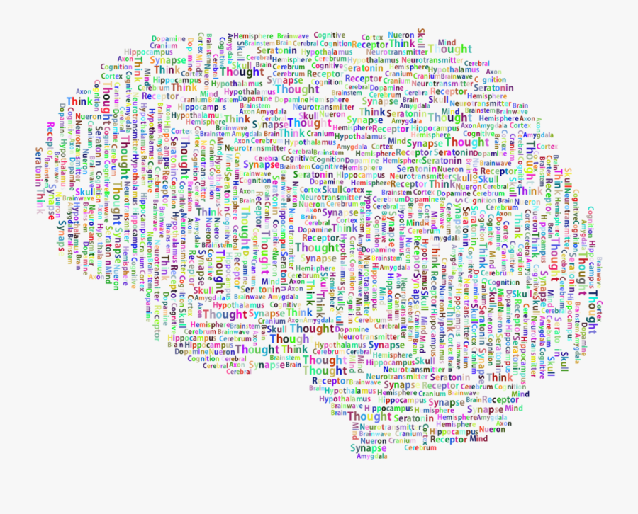 Symmetry,organ,area - Word Cloud For The Brain, Transparent Clipart
