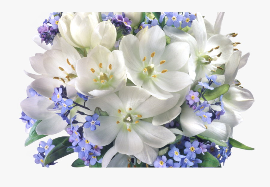 Transparent Crocuses Clipart - Bouquet Of Jasmine Flowers, Transparent Clipart