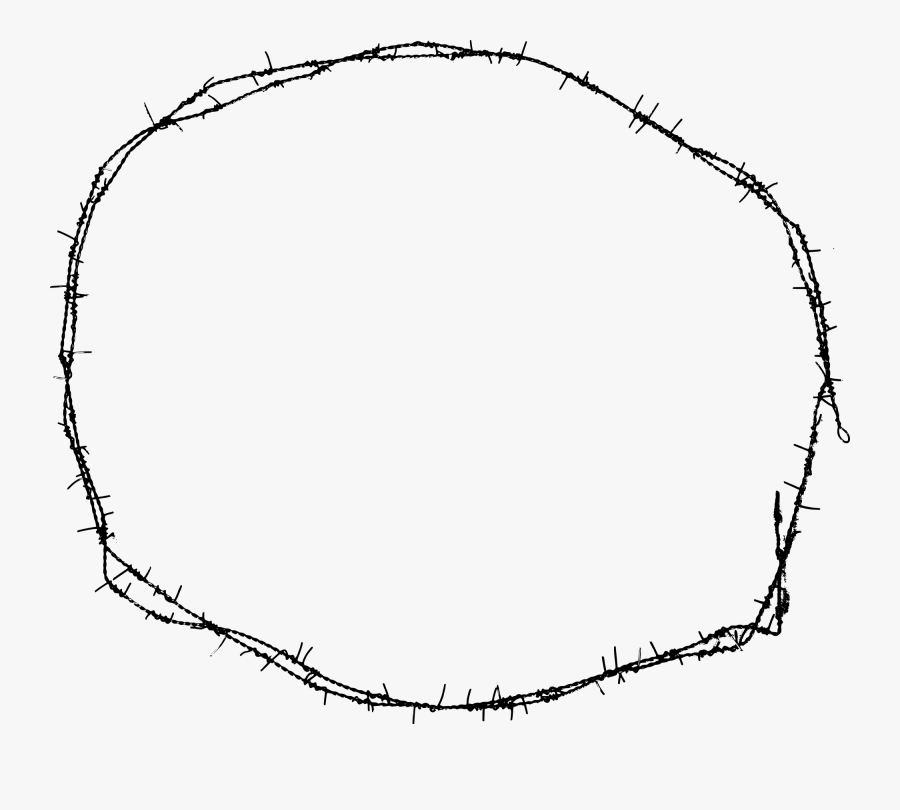 Circle, Transparent Clipart