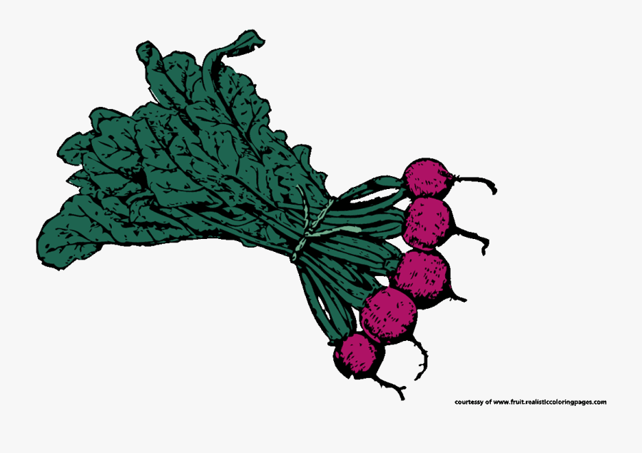 Beet Graphic Illustrations, Transparent Clipart