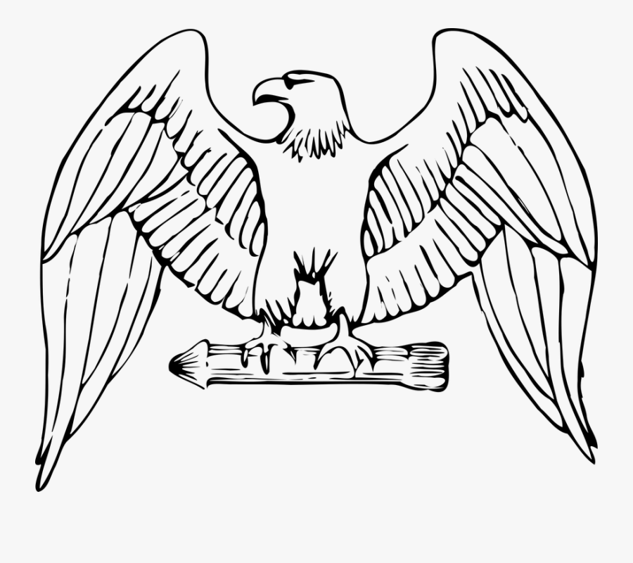 Eagle Easy To Draw , Transparent Cartoons - Eagle Clipart, Transparent Clipart