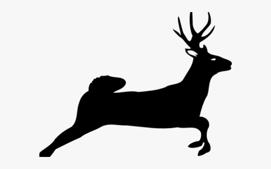 Whitetail Deer Cliparts - White Tailed Deer Silhouette, Transparent Clipart