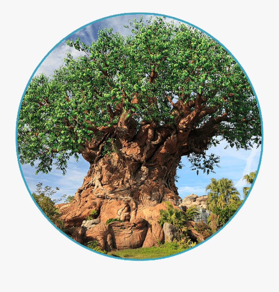 Animal Kingdom Park Plan 1 Day - Disney World, The Tree Of Life, Transparent Clipart