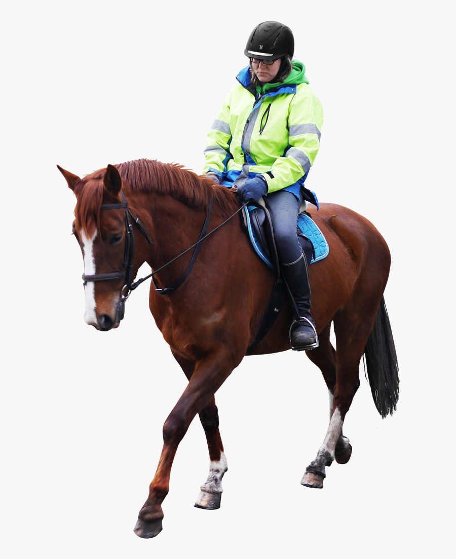 Horse Riding Png Image - Horse Riding No Background, Transparent Clipart