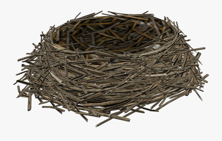 Bird Nest Transparent Background, Transparent Clipart