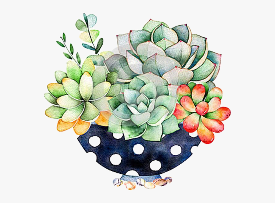 Download #succulents #cactus #flowerarrangement #handdrawn # ...